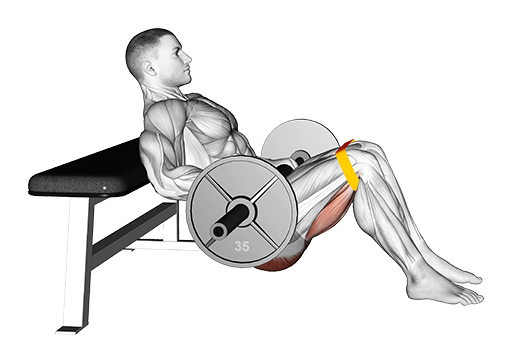 Resistance Hip Thrust (Barbell)