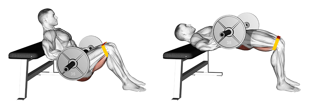 Resistance Hip Thrust (Barbell)