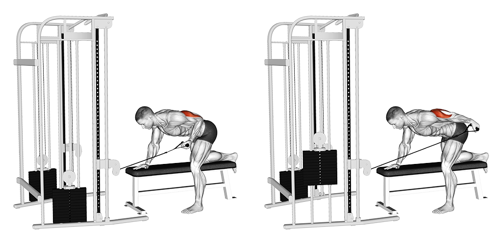 Bent Over Single Arm Kickback (Cable)