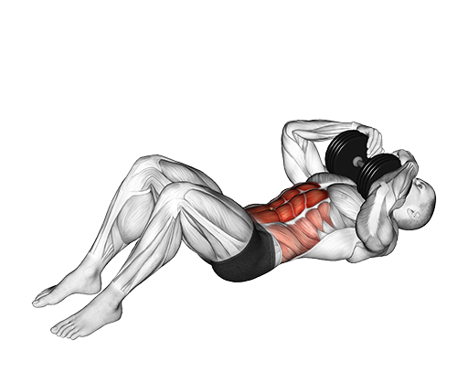 Sit Up (Weighted)
