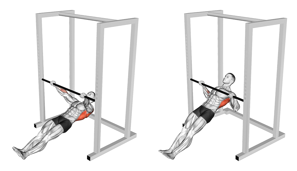 Inverted Row - Wide