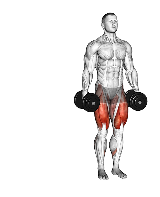Lateral Lunge (Dumbbell)