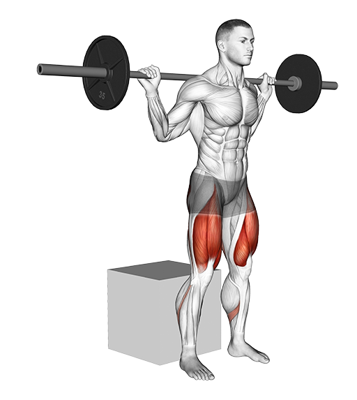 Box Squat (Barbell)