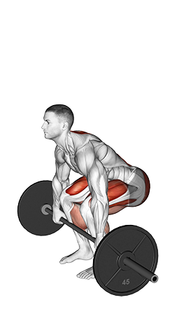 Pause Deadlift (Barbell)