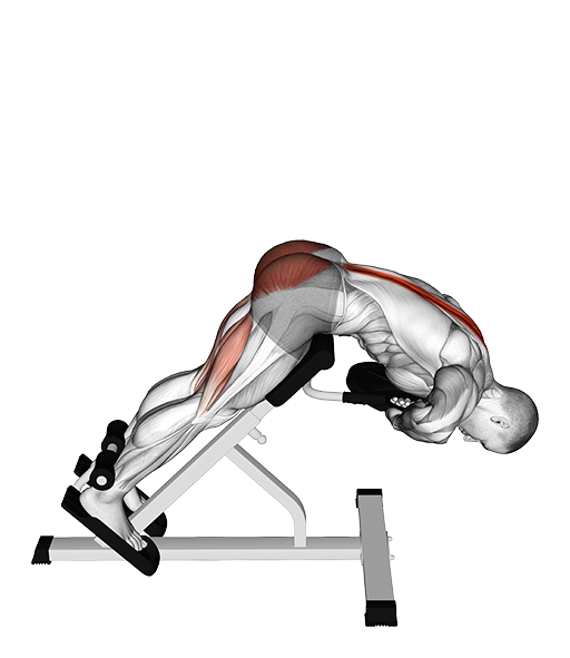 Back Hyperextension