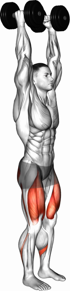 Overhead Lunge (Dumbbell)