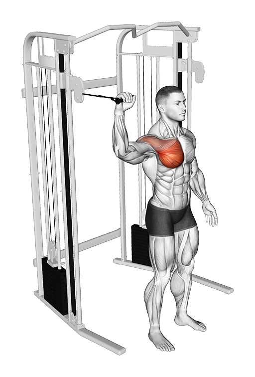 Shoulder 90 Degrees Internal Rotation (Cable)