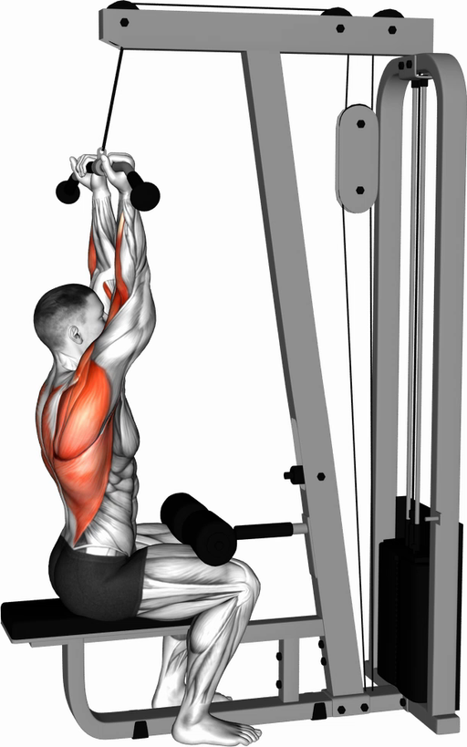 Lat Pulldown - Reverse Grip (Cable)