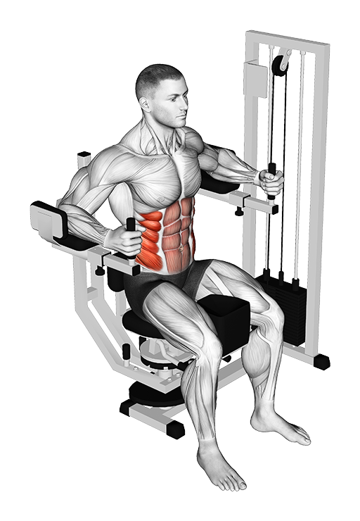 Trunk Rotation (Machine)