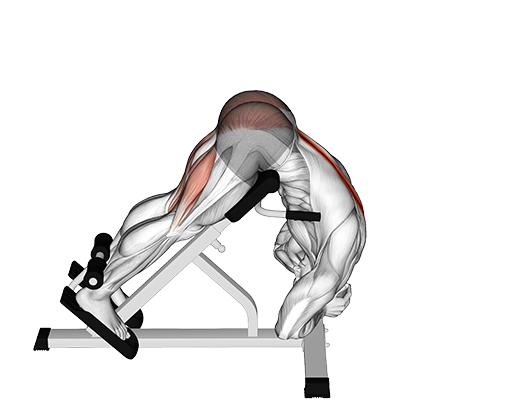Rounded Back Extension