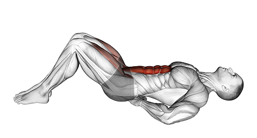 Bent Legs Raise - Lying