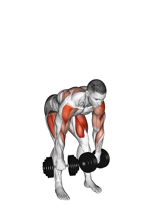 High Pull (Dumbbell)