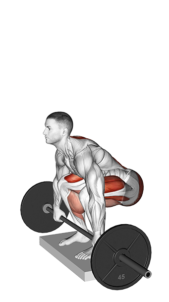 Deadlift - Deficit (Barbell)