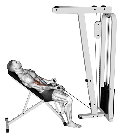 Incline Biceps Curl (Cable)