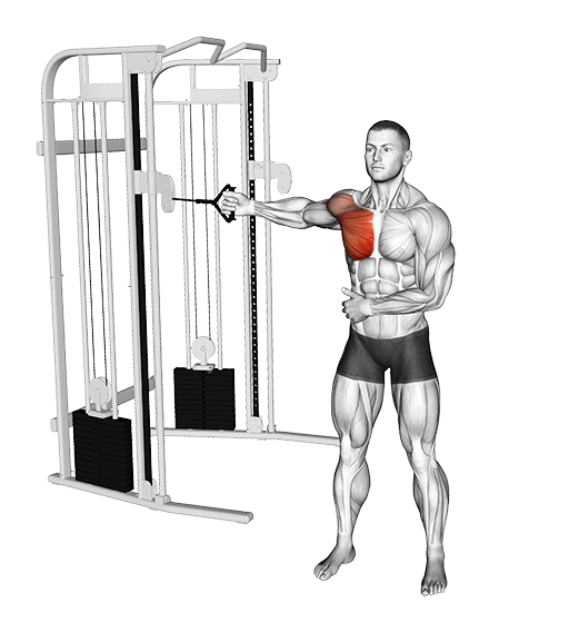 Chest Fly - Single Arm, Standing (Cable)