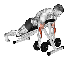 Hammer Curl - Alternate (Dumbbell)