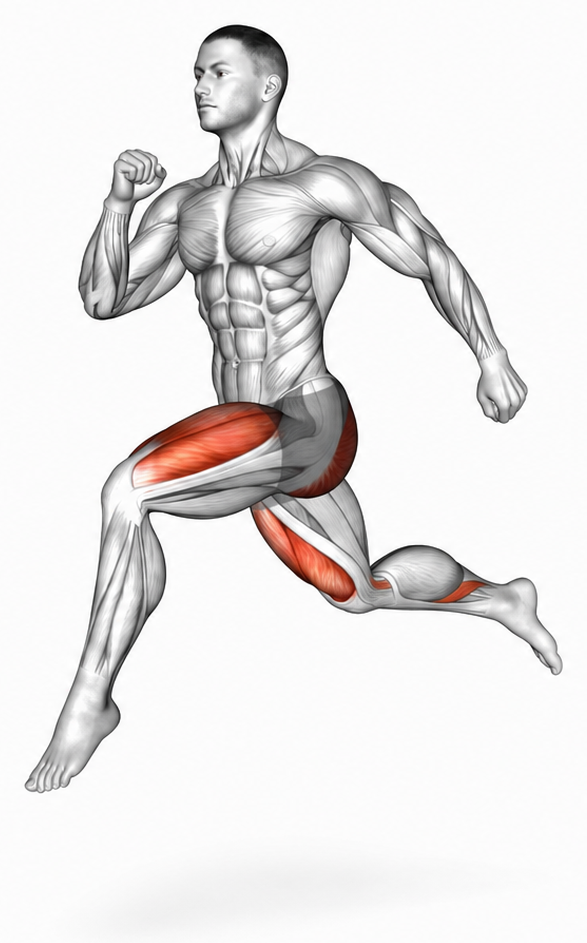 Jumping Lunge