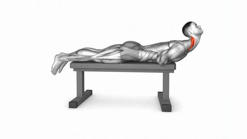 Neck Extension - Lying