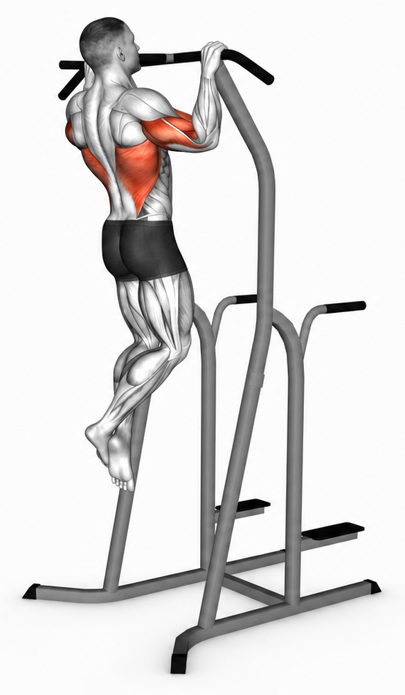 Negative Pull Up