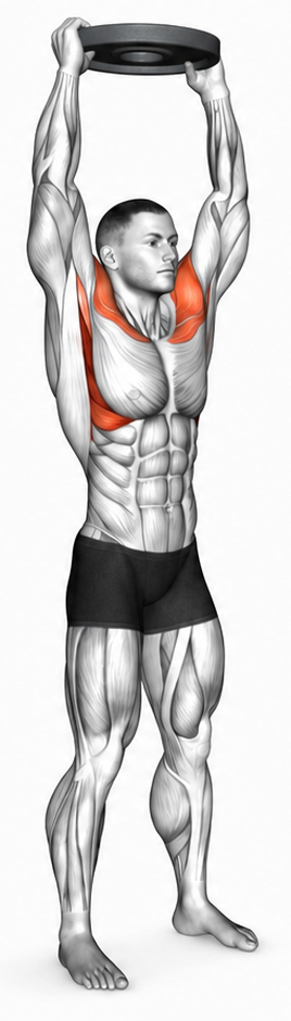 Overhead Plate Raise