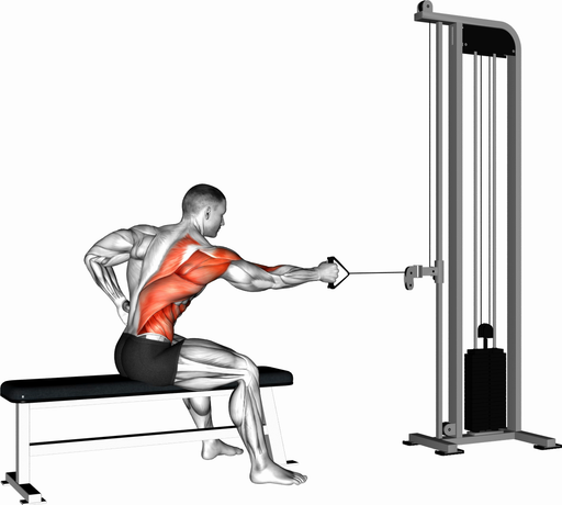 Row - Single Arm, Seated (Cable)